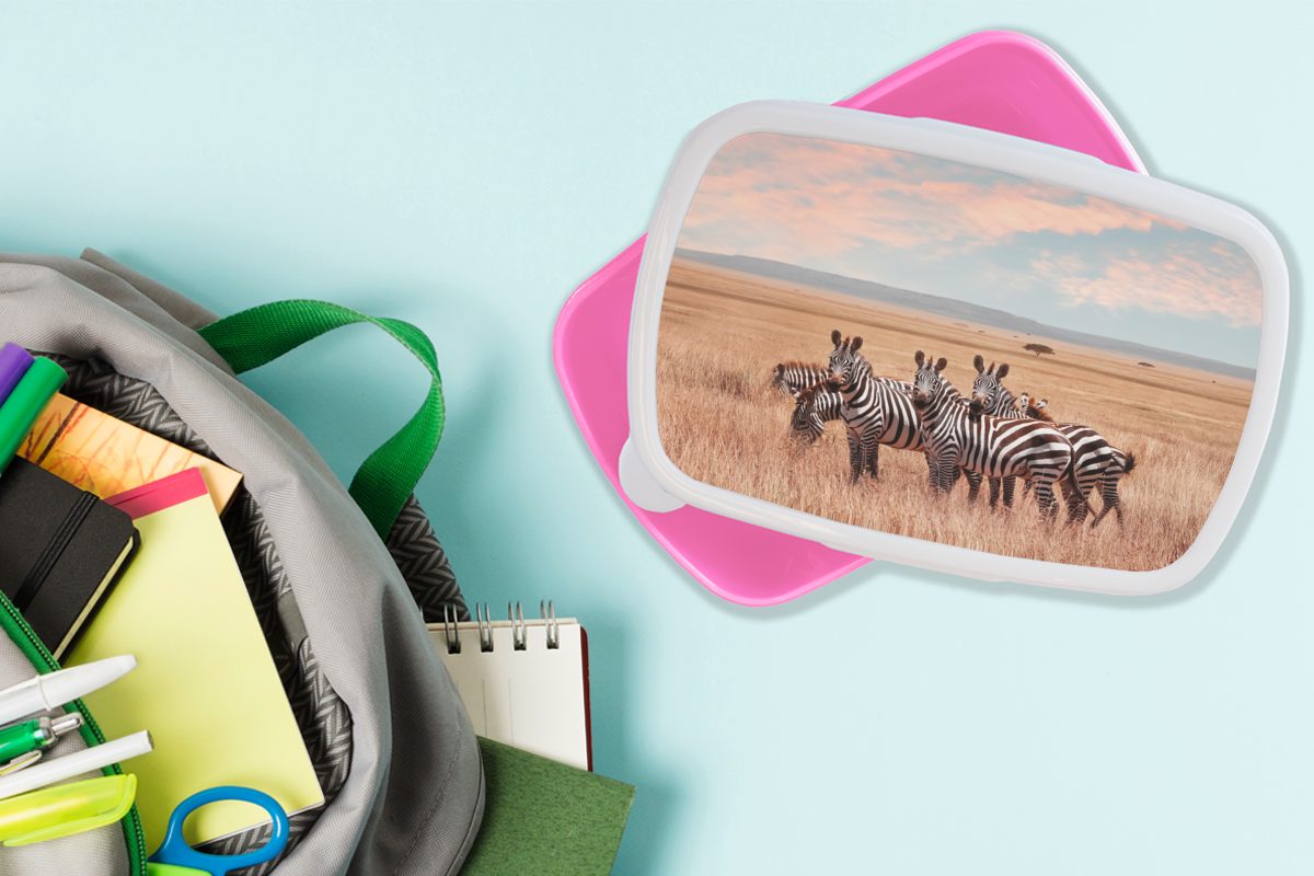 MuchoWow Lunchbox Zebras auf dem rosa Kunststoff Kinder, Snackbox, Lande, für Kunststoff, (2-tlg), Brotbox Brotdose Mädchen, Erwachsene