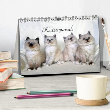 CALVENDO Wandkalender Katzenparade (Tischkalender 2025 DIN A5 quer), CALVENDO Monatskalender