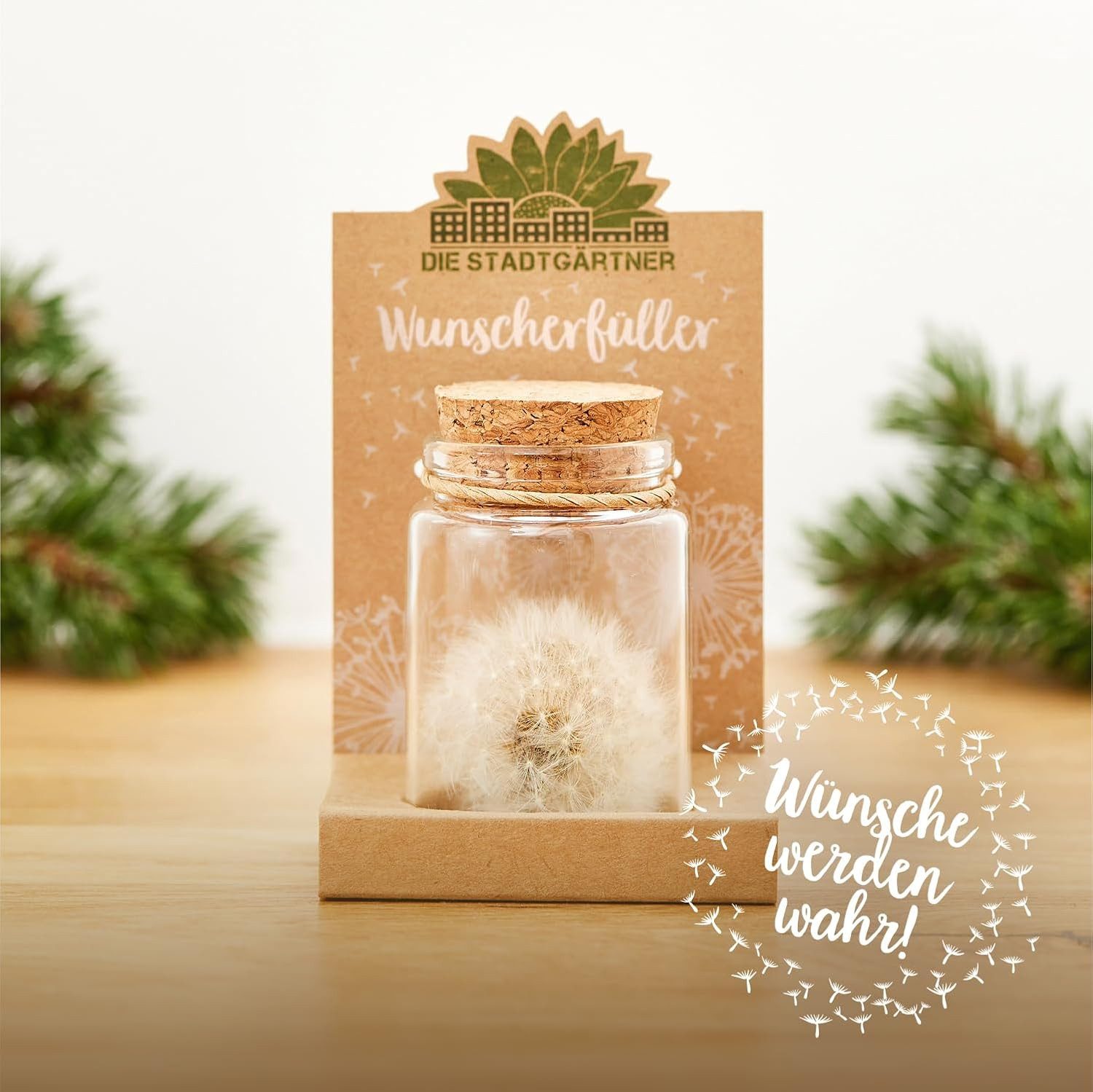 Trockenblume Wunscherfüller, Perfekte Geschenkidee für jeden Anlass Pustebl günstig online kaufen