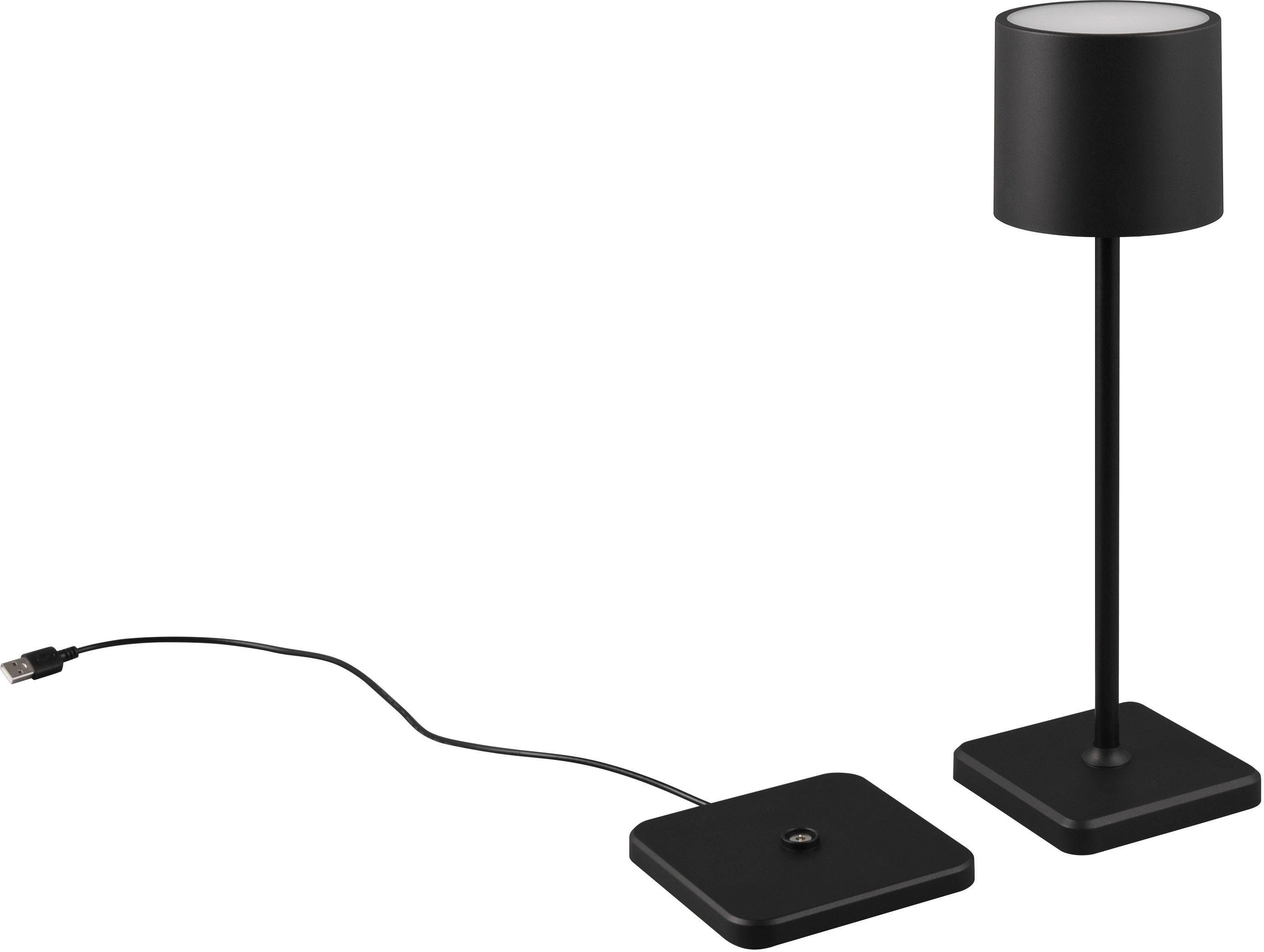 Reality Leuchten LED Außen-Tischleuchte Fernandez, Dimmfunktion, USB-Ladefunktion, LED fest integriert, Farbwechsler, warmweiß - kaltweiß, Garten Akku Tischlampe USB Ladestation dimmbar Lichtfarbe einstellbar