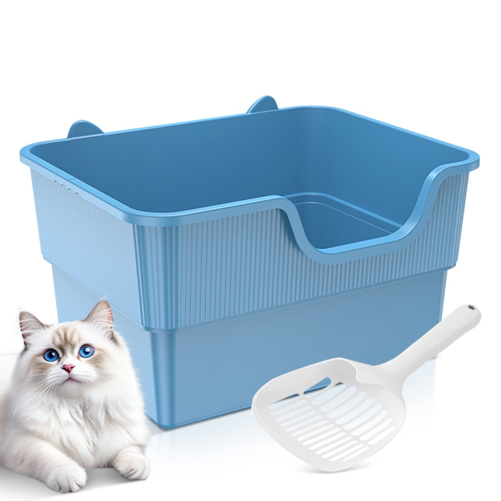 AmiCura Katzentoilette 2025 Katzentoiletten Katzenklo offen hoher Rand groß günstig online kaufen