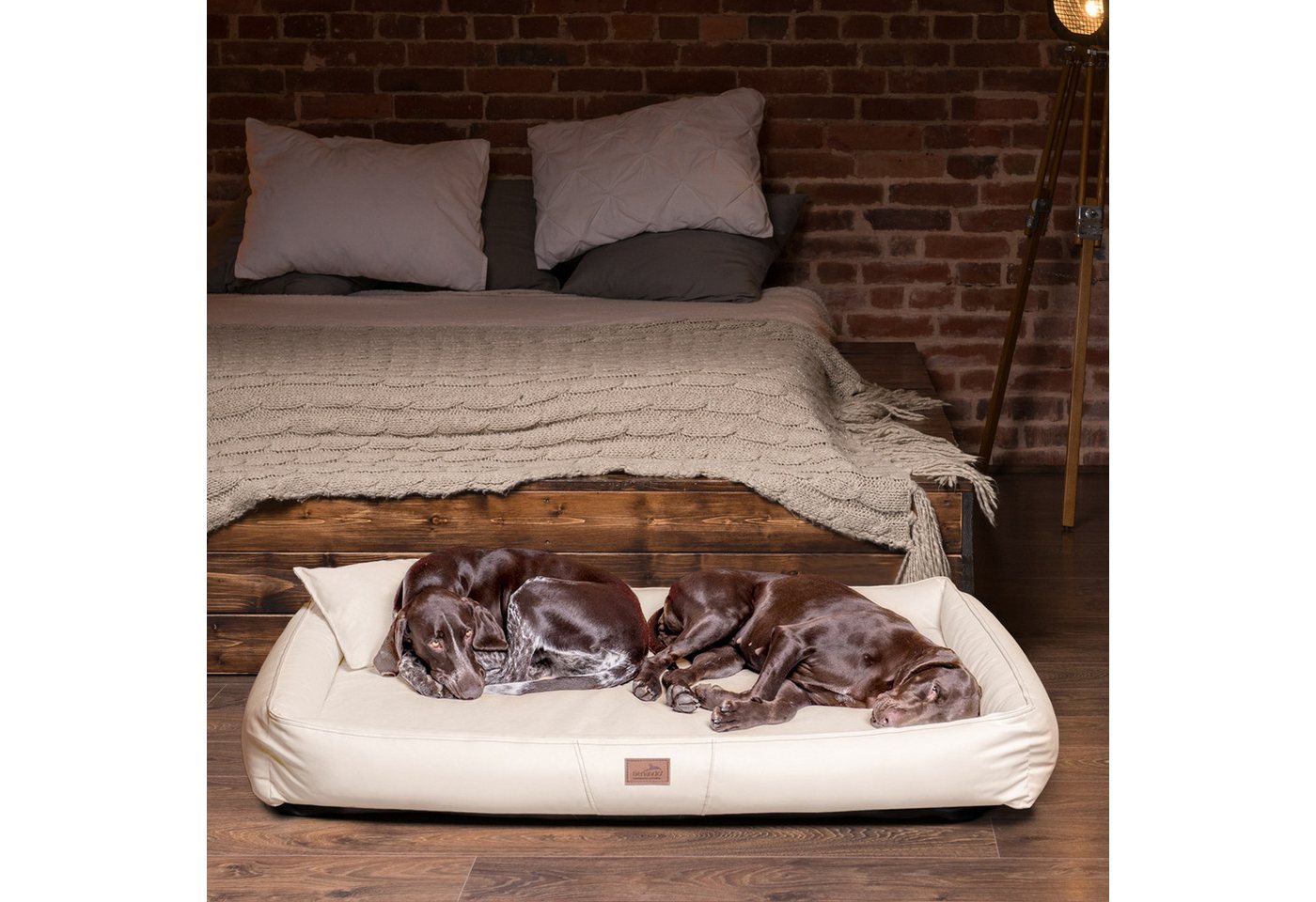 Thumbnail - tierlando® Tierbett tierlando® Orthopädische Hundematratze CLIFFORD LATEX-Matratzenkern Ku