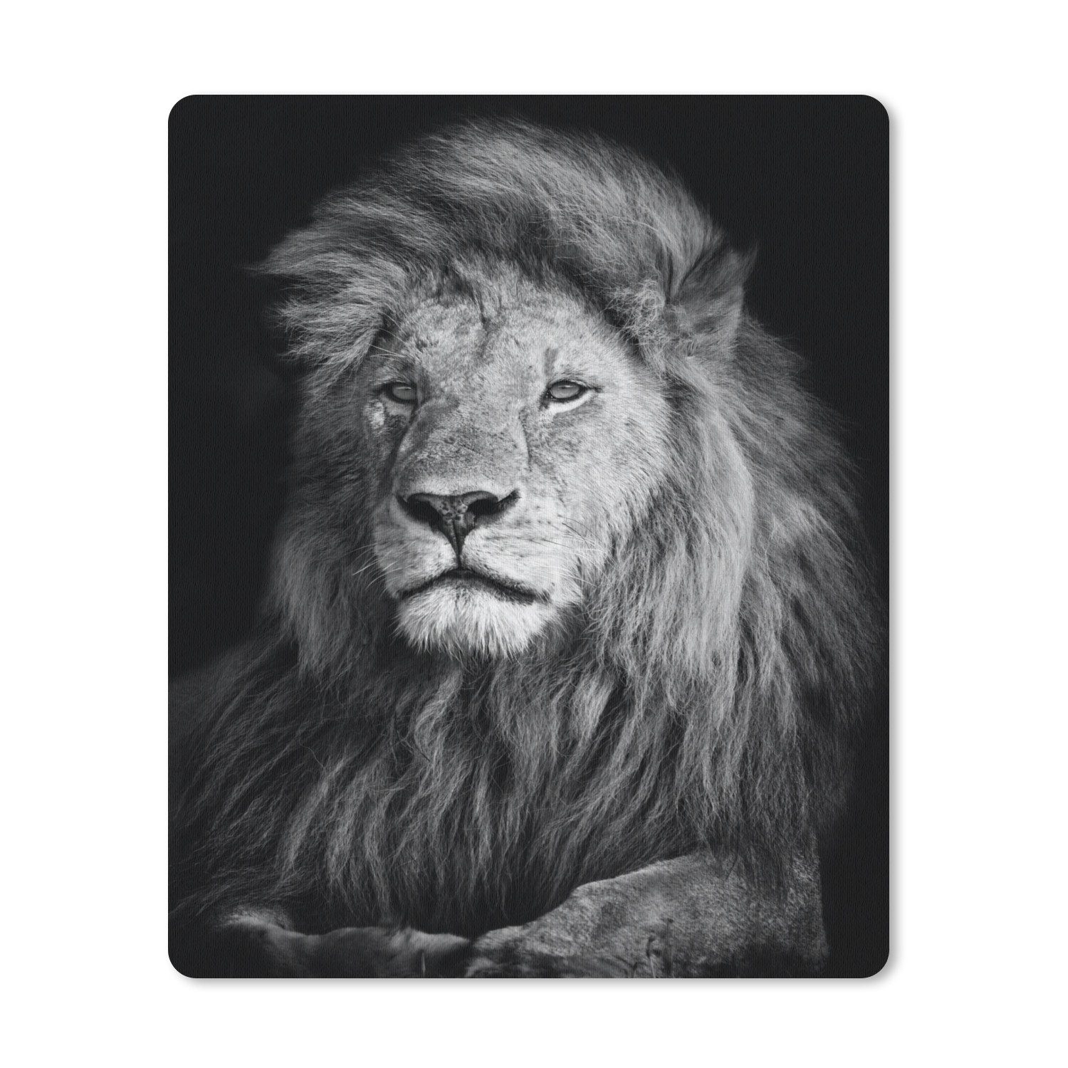 MuchoWow Mauspad Wildlife - Löwe - Schwarz - Weiß (1-St), Gaming, Mousepad Klein, Büro Zubehör, Mausunterlage, 19x23 cm