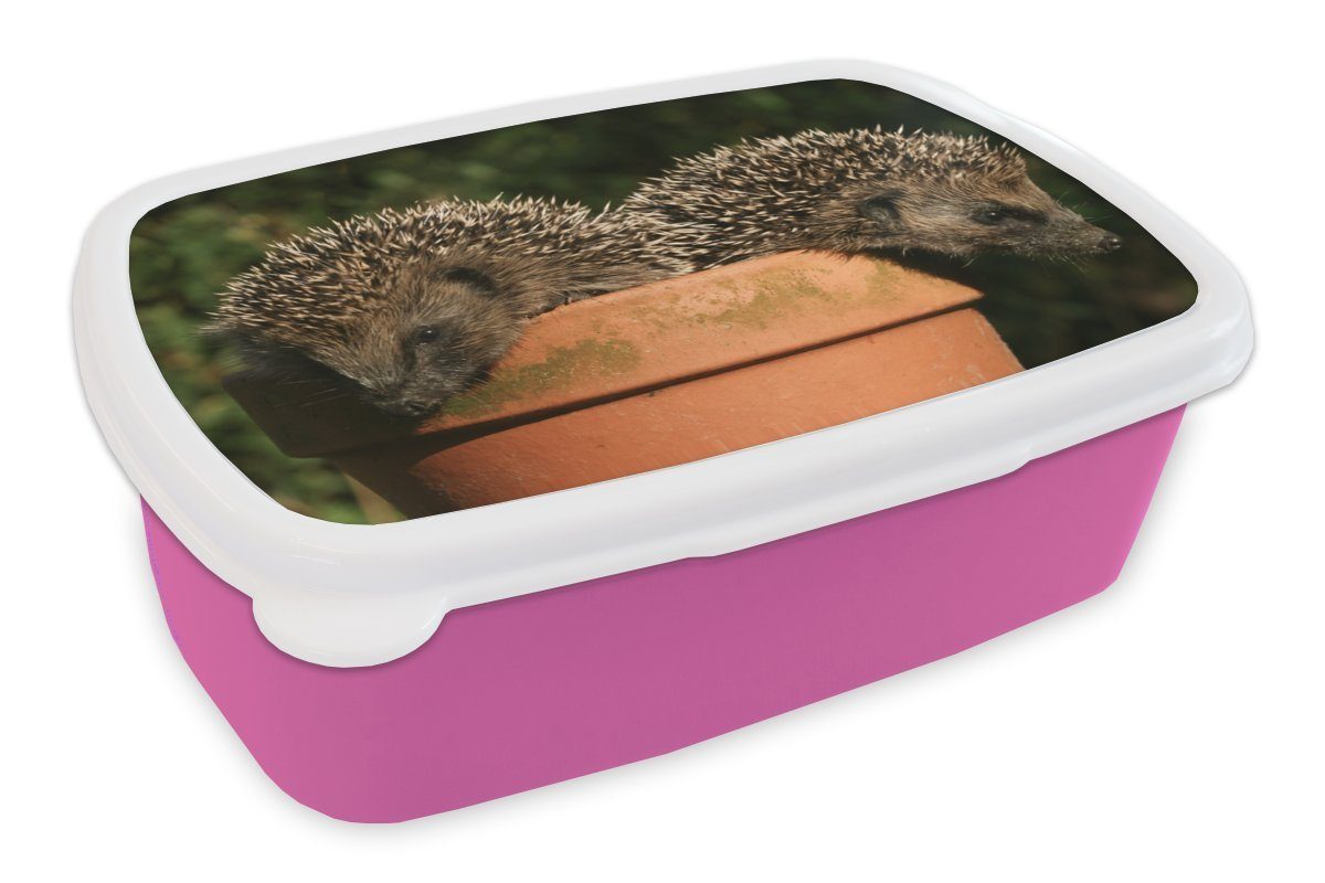 MuchoWow Lunchbox Zwei Igel auf einem Topf, Kunststoff, (2-tlg), Brotbox für Erwachsene, Brotdose Kinder, Snackbox, Mädchen, Kunststoff rosa