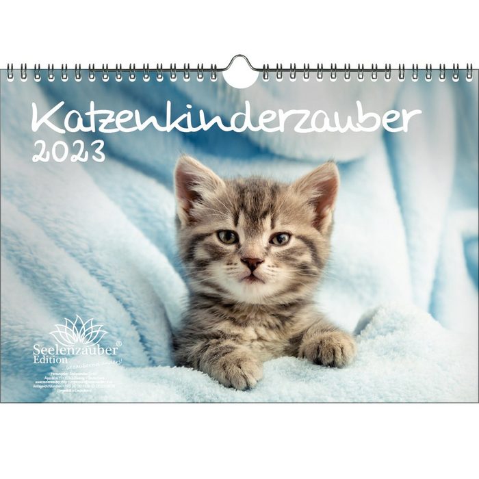 Seelenzauber Wandkalender Katzenkinderzauber DIN A4 Kalender für 2023 Katzenkinder Katzenbabys