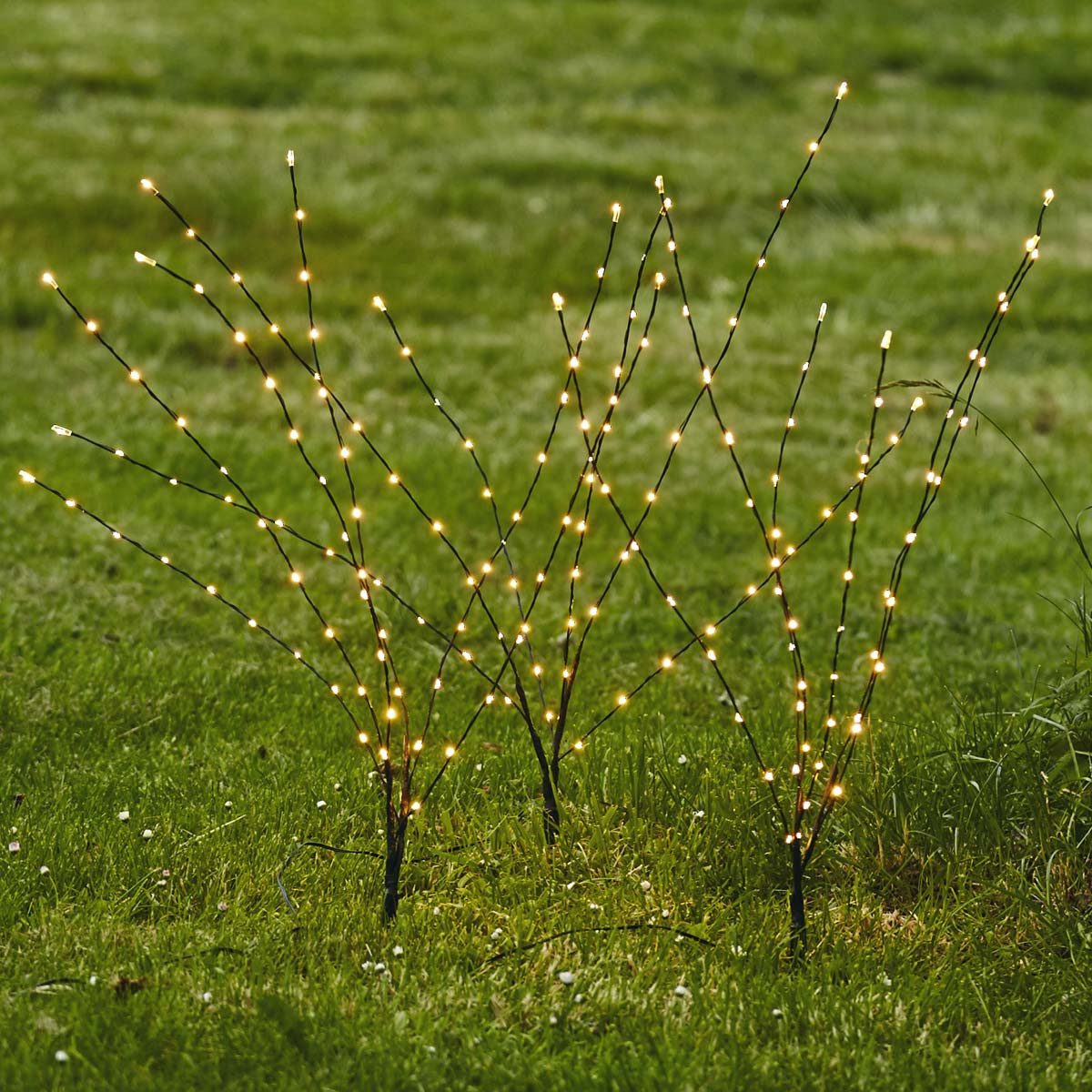STAR TRADING LED Baum LED Bäumchen REEDY M 3er Set 60cm à 60 LED warm, warmweiß