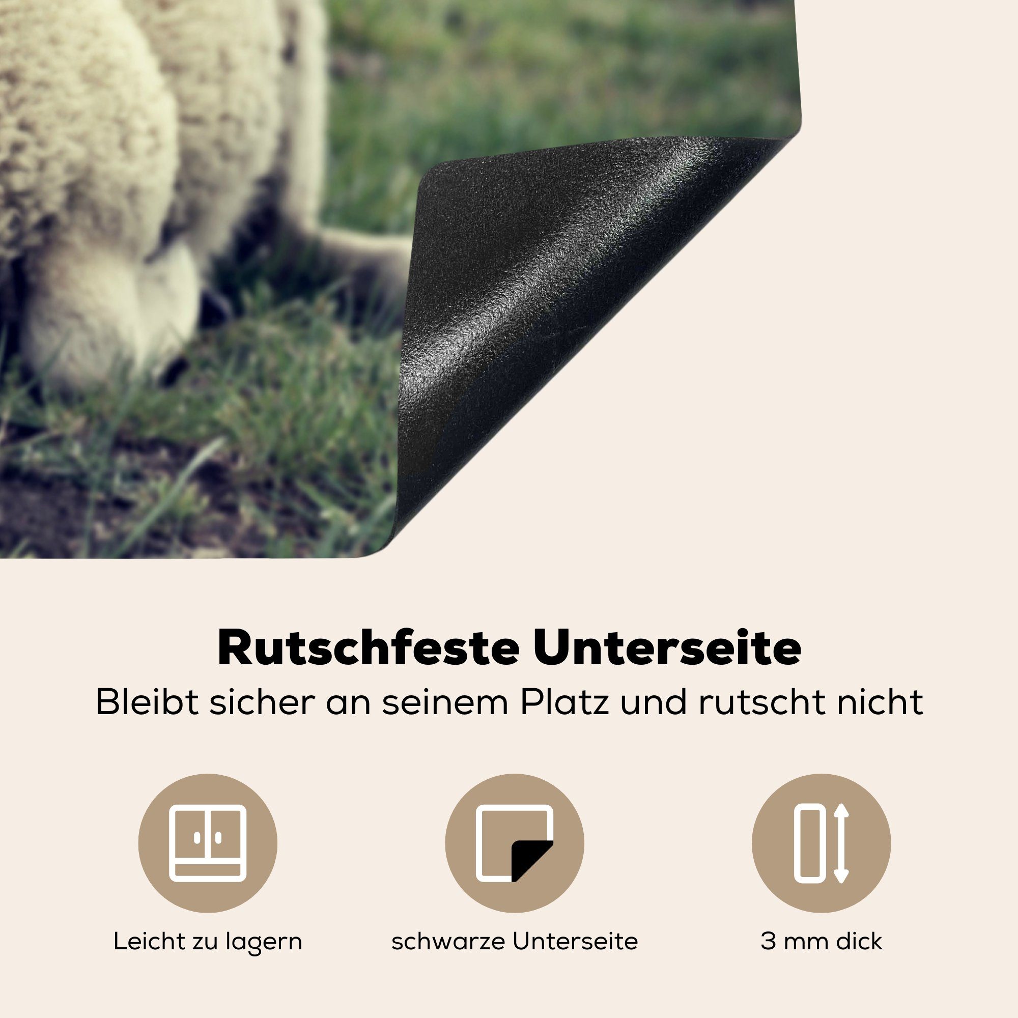 MuchoWow Ceranfeldabdeckung (1 Herdblende-/Abdeckplatte die cm, küche, tlg), - Lamm - 59x52 Induktionsmatte für Schaf Gras, Vinyl,