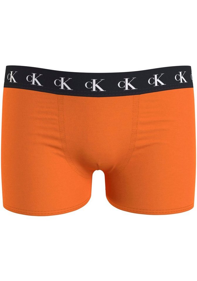 Markenlabel mit Klein Underwear Slip Calvin 3PK (Packung, TRUNK Bund Calvin 3er-Pack) am Klein