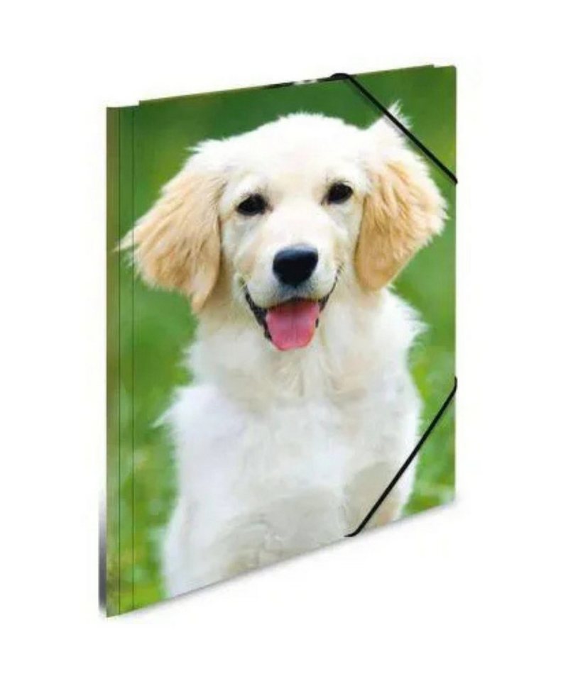 Thumbnail - HERMA Organisationsmappe Herma A4 Sammelmappe (Hund) (Packung, 1-St., Sammelmappe), mit Eckspanngummi