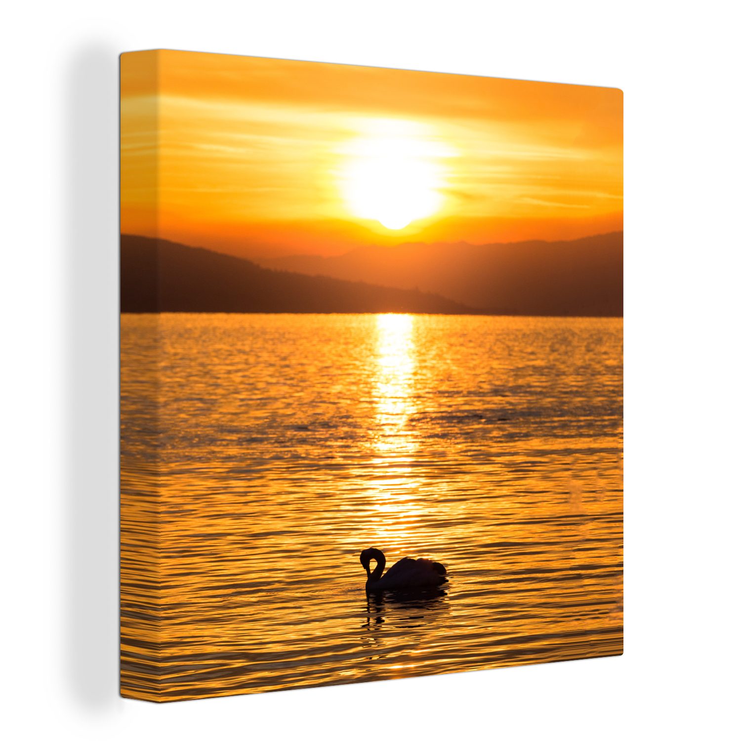 OneMillionCanvasses® Leinwandbild Schwan - Sonnenuntergang - Gold, (1 St), Leinwand Bilder für Wohnzimmer Schlafzimmer