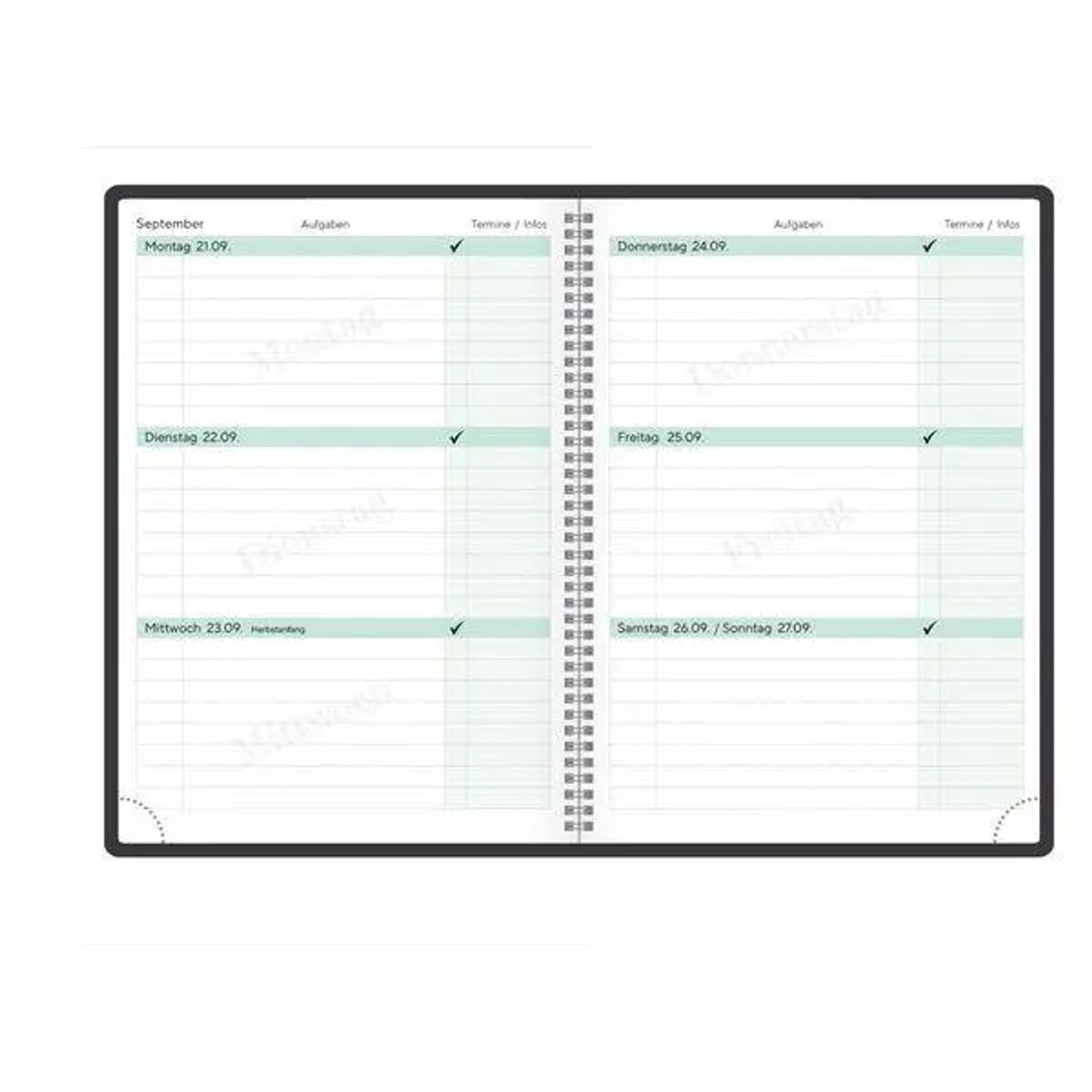 Korsch Verlag Schülerkalender Schülerkalender Bleib verrückt 2026/2027