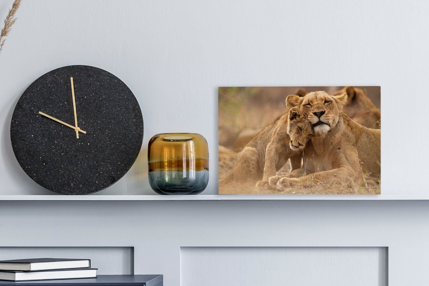 OneMillionCanvasses® Leinwandbild Löwe - Wilde Tiere günstig online kaufen