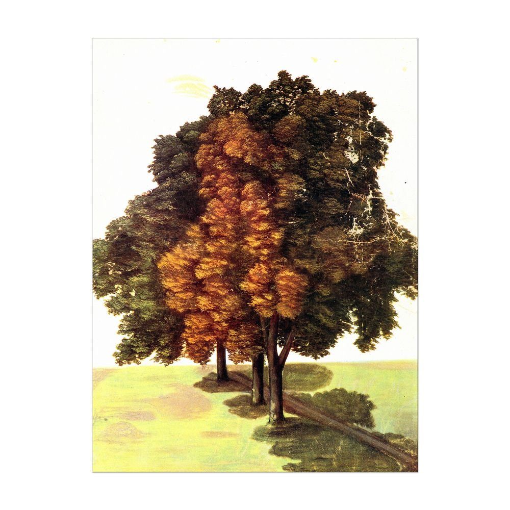 Bilderdepot24 Leinwandbild Alte Meister - Albrecht Dürer - Drei Linden, Bäume