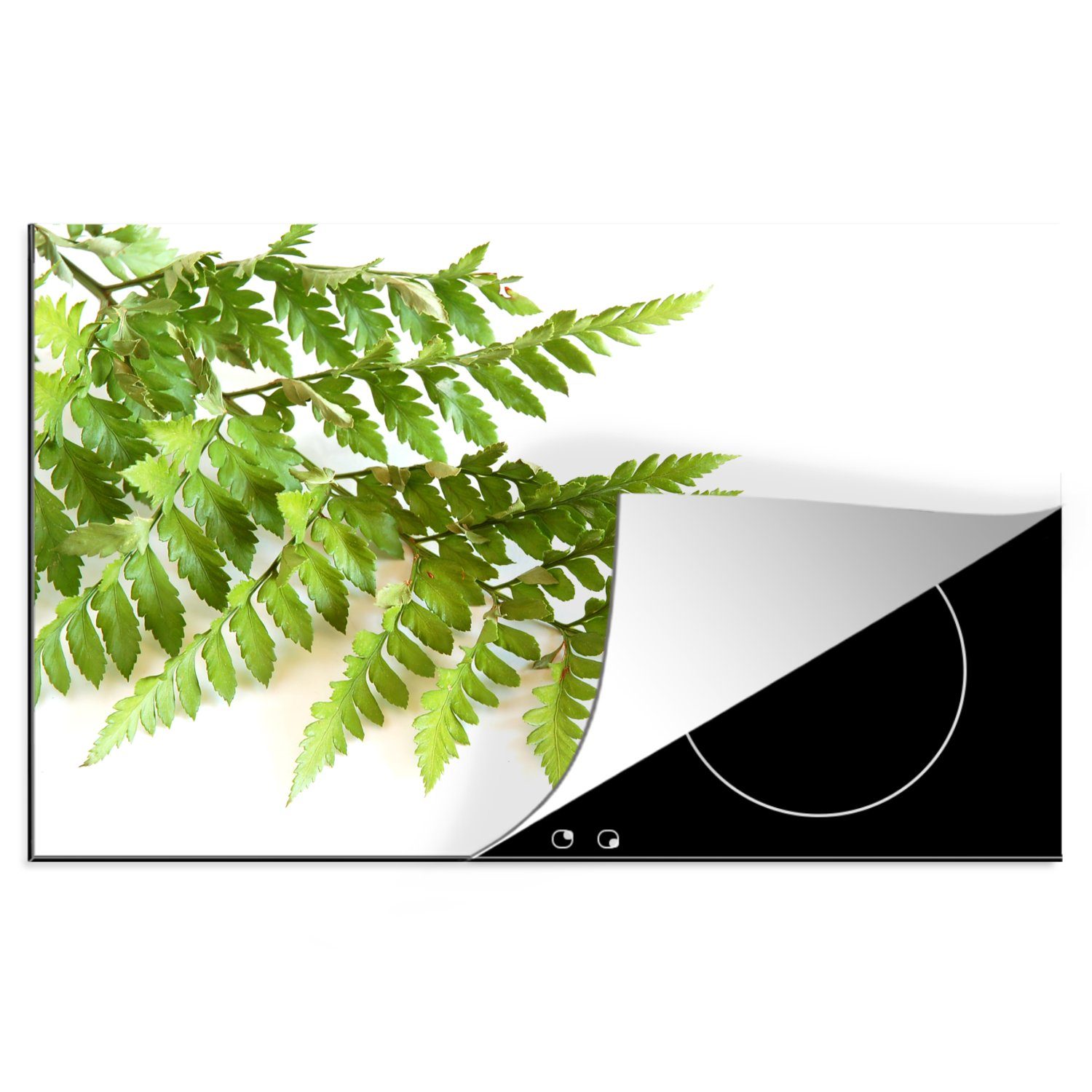 MuchoWow Herdblende-/Abdeckplatte Grüne Blätter eines Farns vor einem weißen Hintergrund, Vinyl, (1 tlg), 81x52 cm, Induktionskochfeld Schutz für die küche, Ceranfeldabdeckung