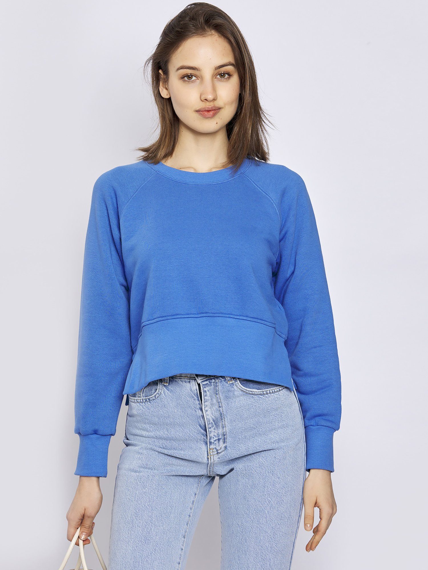 Sweater Blau Freshlions Sweatshirt Freshlions
