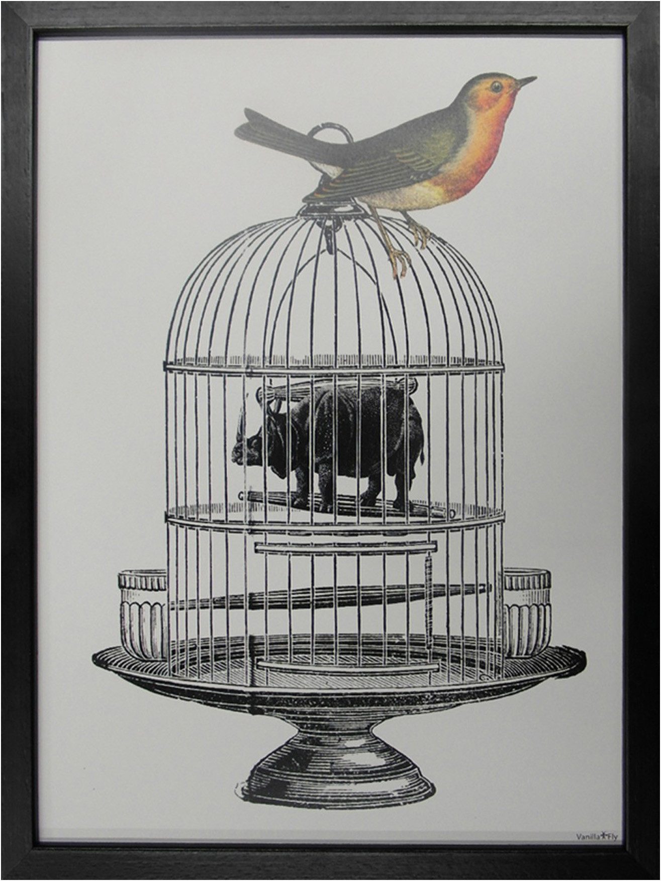 More2Home Wandbild MondiArt, BIRD AND CAGE, Rahmen schwarz, 30 x 40 cm