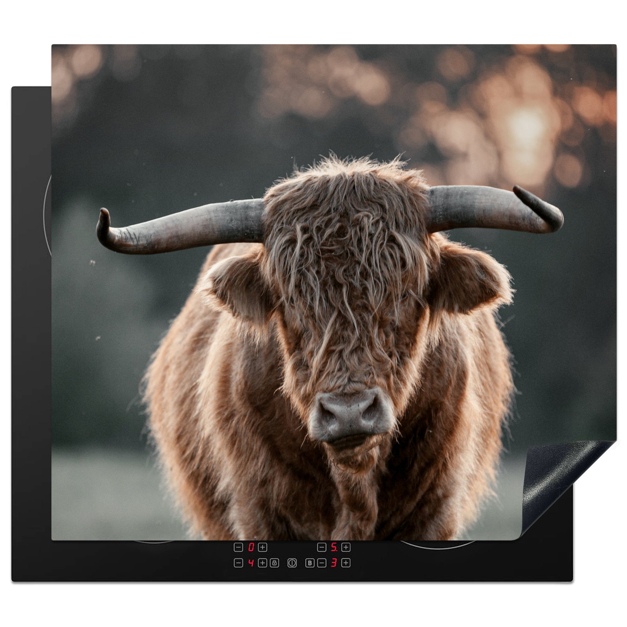 MuchoWow Herdblende-/Abdeckplatte Schottischer Highlander - Tier - Sonnenuntergang, Vinyl, (1 tlg), 59x52 cm, Ceranfeldabdeckung für die küche, Induktionsmatte