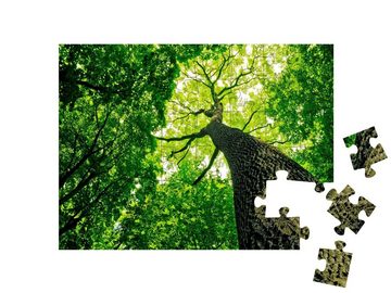 puzzleYOU Puzzle Naturwald, 48 Puzzleteile, puzzleYOU-Kollektionen Bäume, Wald & Bäume