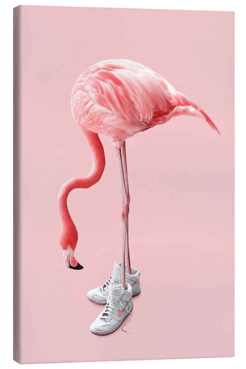 Posterlounge Leinwandbild Jonas Loose, Sneaker-Flamingo, Jugendzimmer Illustration