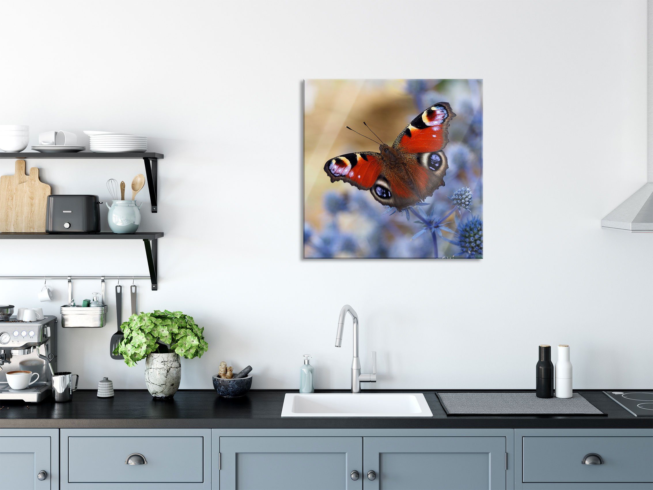 Schöner Schmetterling inkl. Glasbild (1 Pfauenauge Abstandshalter Pixxprint Pfauenauge, Schmetterling Echtglas, aus Schöner Glasbild St), Aufhängungen und