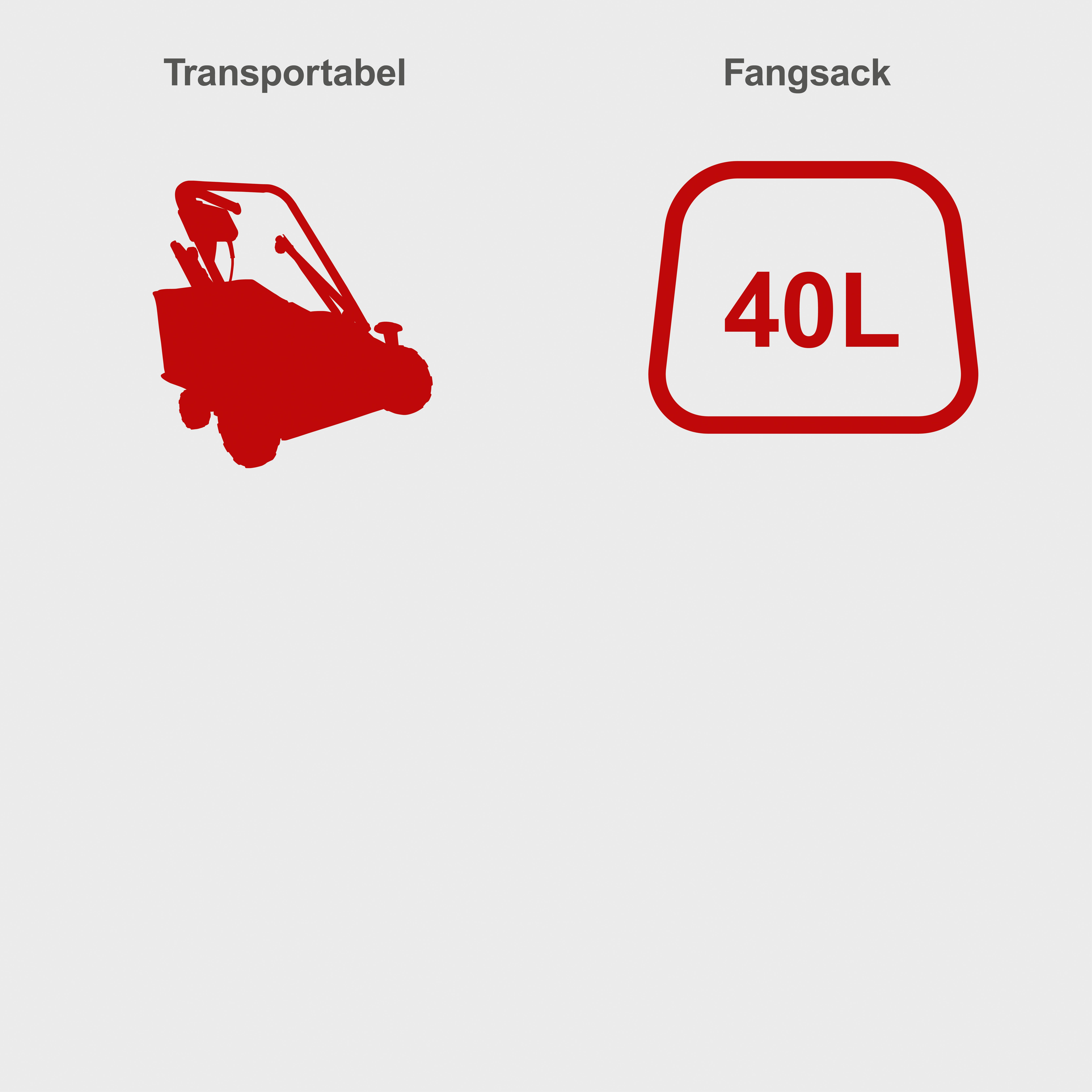 Scheppach Benzin-Vertikutierer SC55P