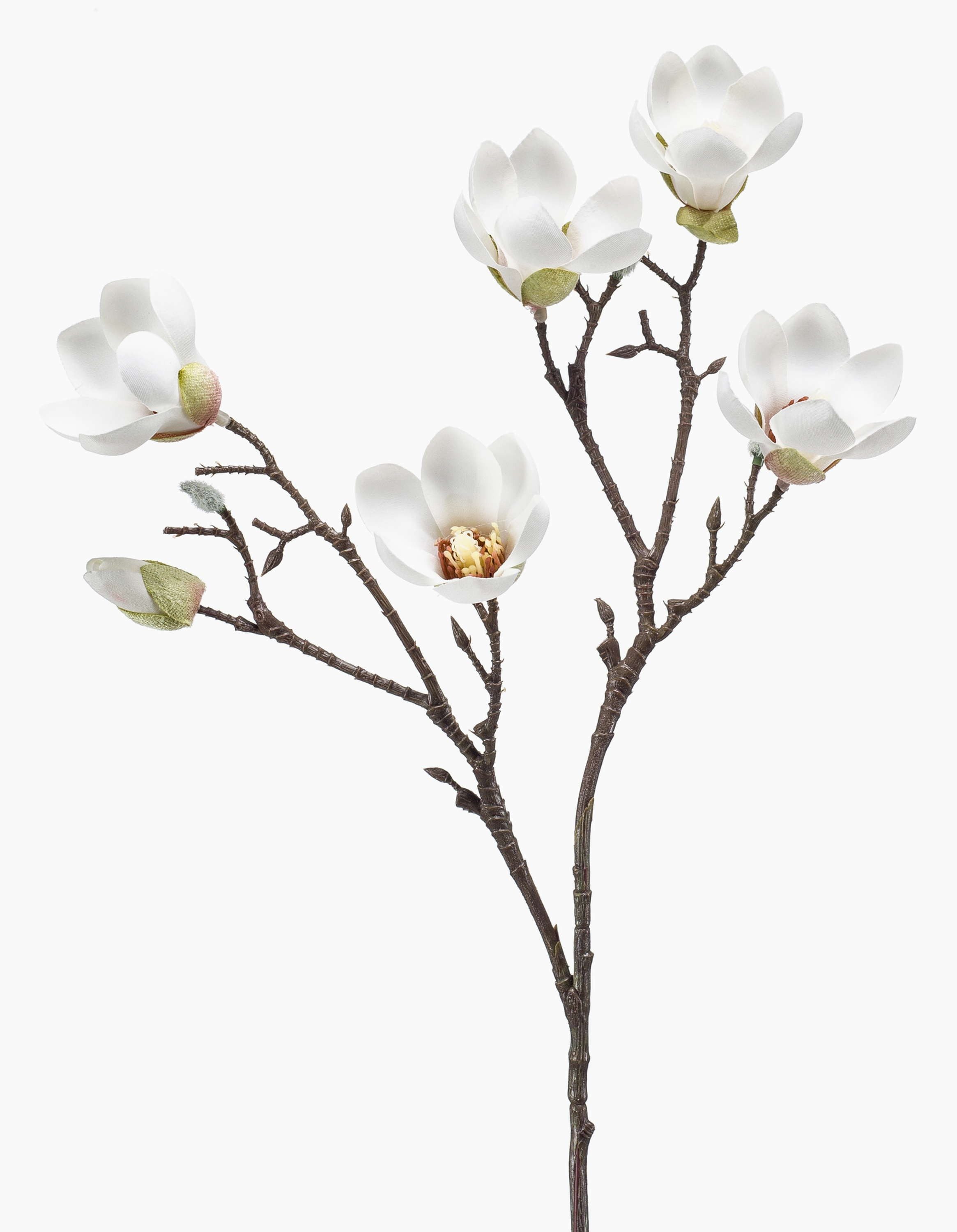 Kunstzweig Künstliche Magnolie ANEU, Creme, 65cm Magnolie, artplants, Höhe 65.0 cm