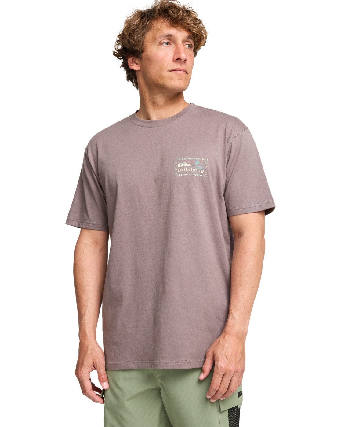 Billabong T-Shirt Range