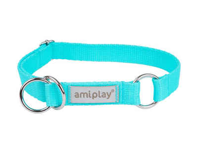 amiplay Hunde-Halsband Hunde Schlupfhalsband SAMBA, farbenfrohe Designs