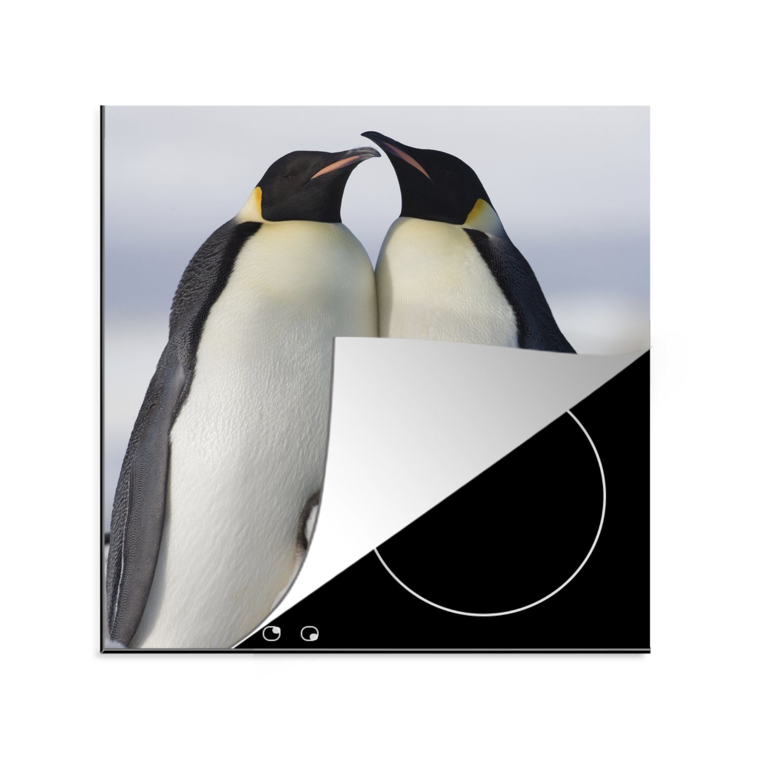 MuchoWow Herdblende-/Abdeckplatte Pinguin - Familie - Schnee, Vinyl, (1 tlg), 78x78 cm, Ceranfeldabdeckung, Arbeitsplatte für küche