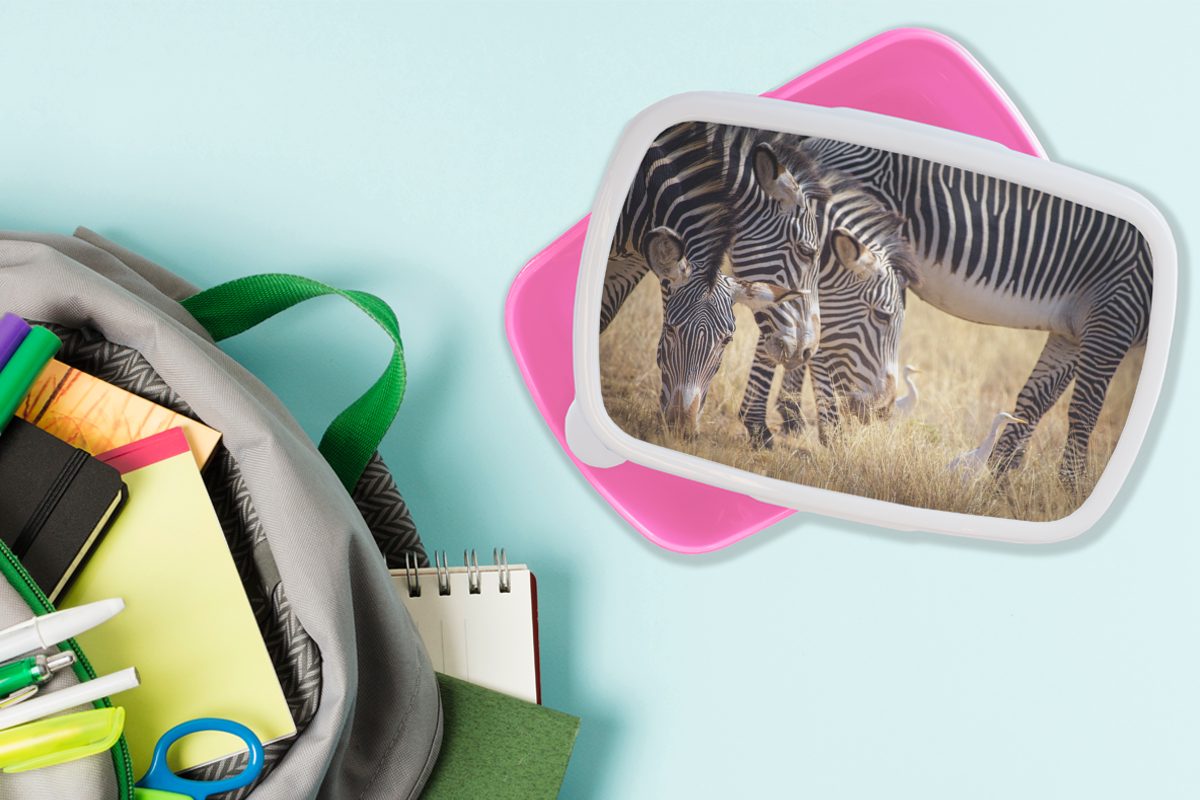 Brotbox Kunststoff, - MuchoWow Brotdose Kunststoff (2-tlg), Mädchen, Weiden Snackbox, - Kinder, Zebra für Erwachsene, Safari, Lunchbox rosa