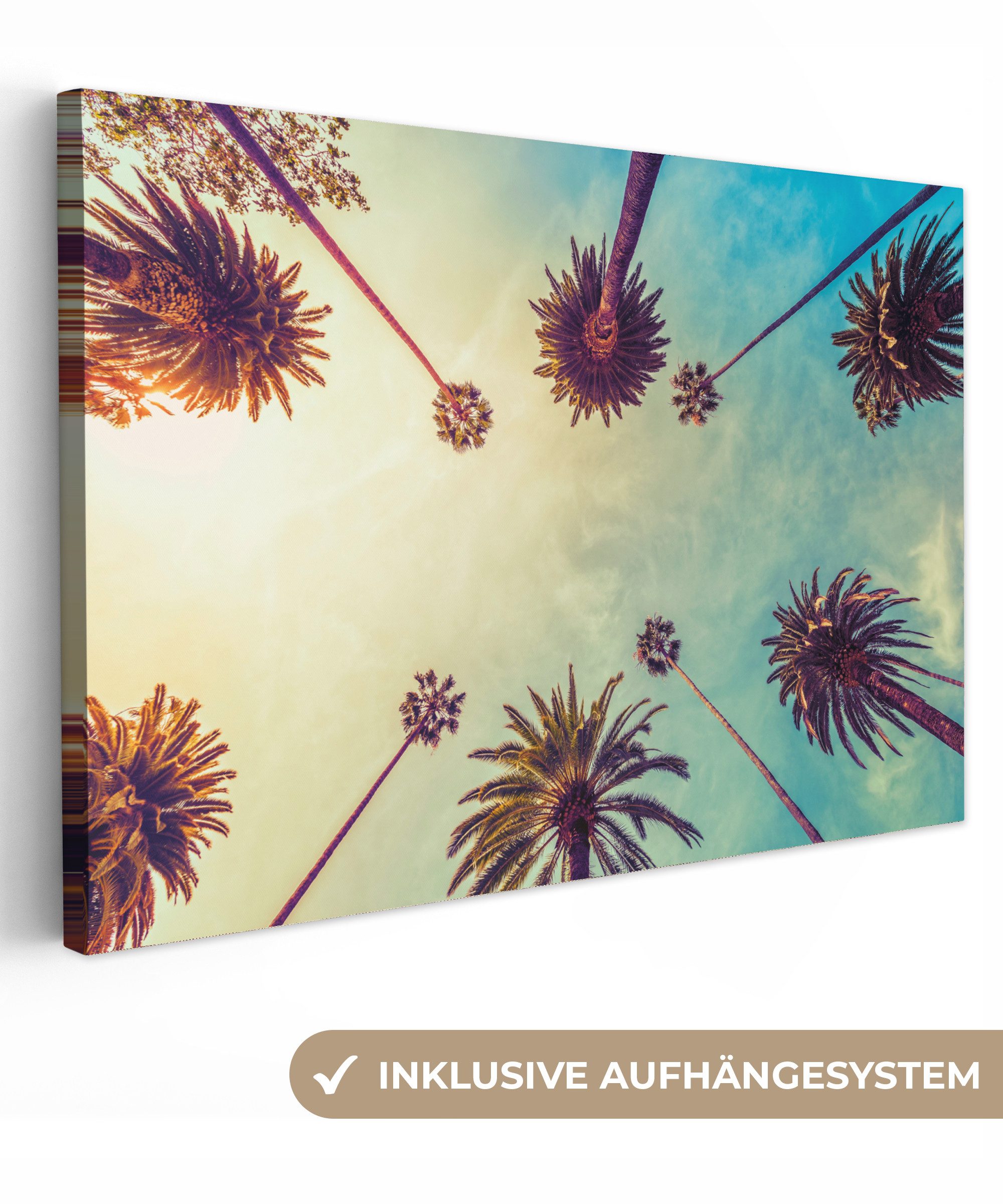 OneMillionCanvasses® Leinwandbild Palme - Himmel - günstig online kaufen