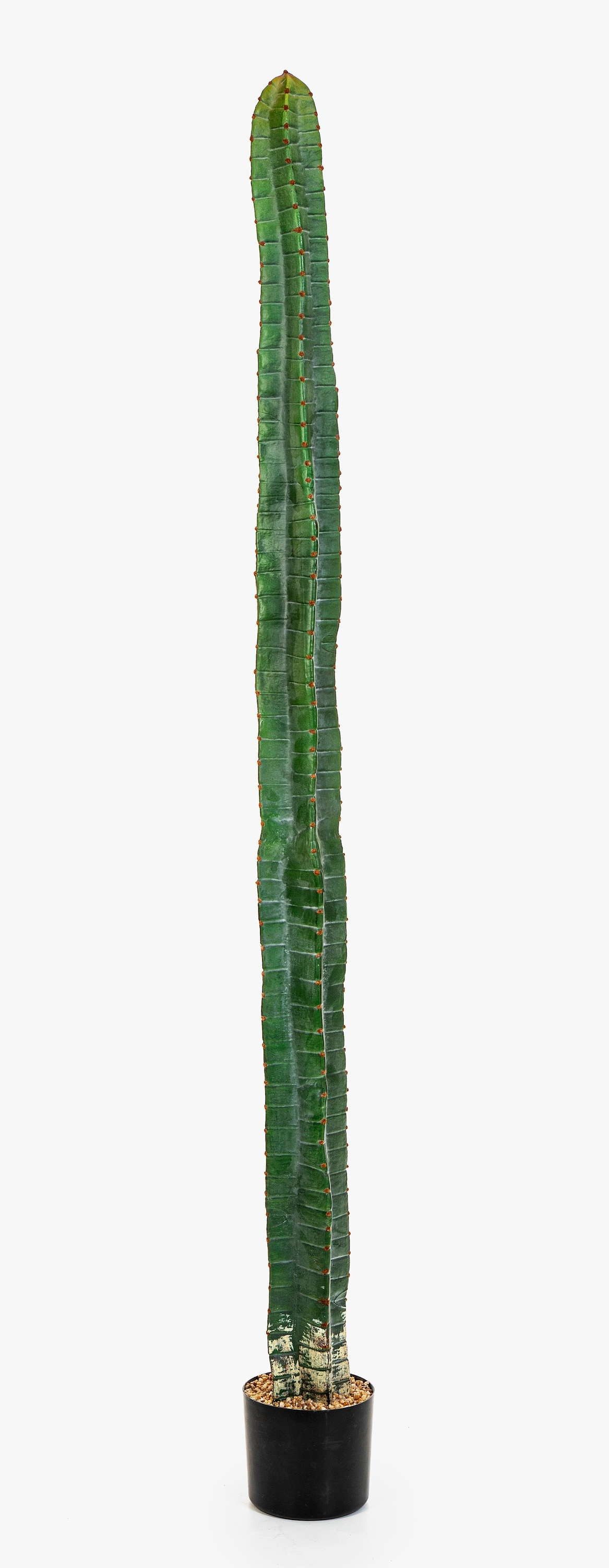 Kunstkaktus Deko Säulenkaktus ELKURUD, grün-rot, 180cm Säulenkaktus, artplants, Höhe 180.0 cm