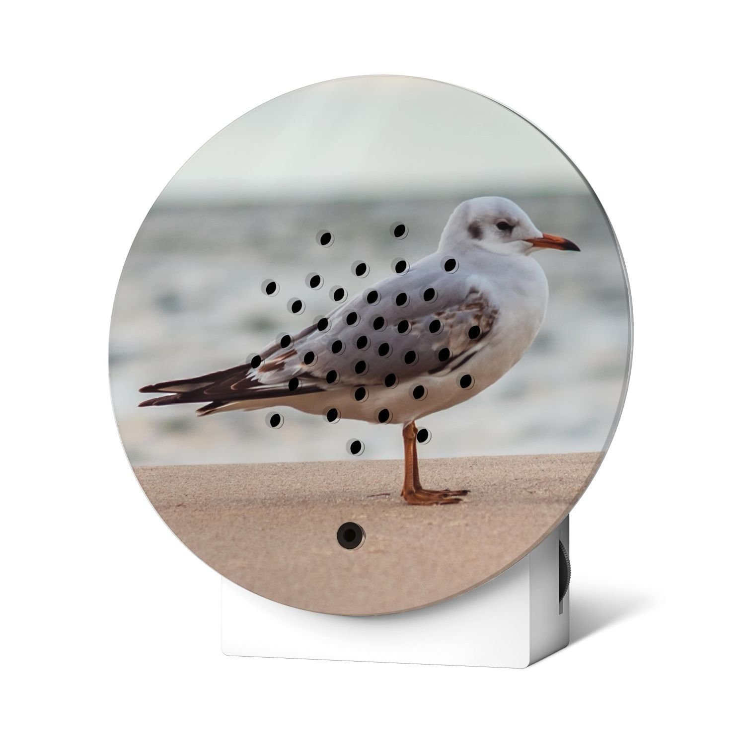 Relaxound GmbH Wanddekoobjekt Oceanbox Happy Birds Baltic Seagull günstig online kaufen