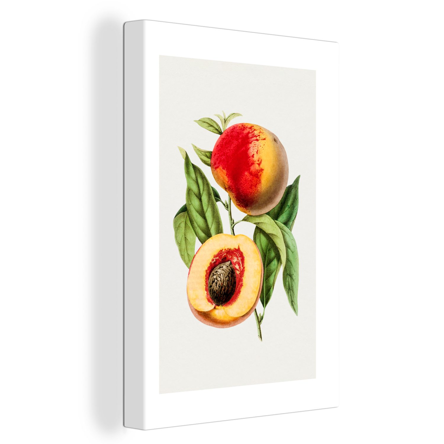 OneMillionCanvasses® Leinwandbild Lebensmittel - Pfirsich - Obst, (1 St), Leinwandbild fertig bespannt inkl. Zackenaufhänger, Gemälde, 20x30 cm