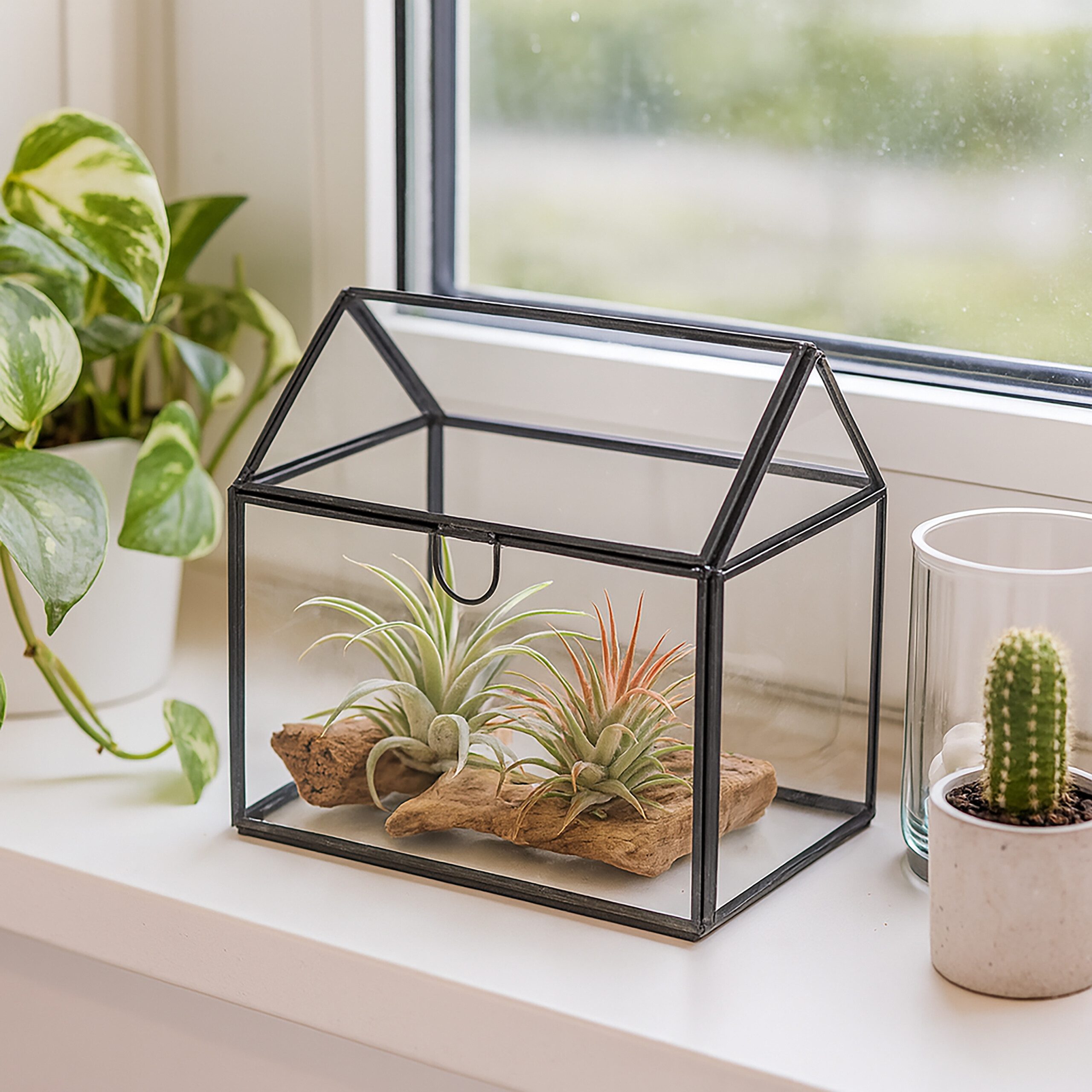 relaxdays Dekovase Pflanzenterrarium aus Glas Hausform (1 St), schwarz günstig online kaufen