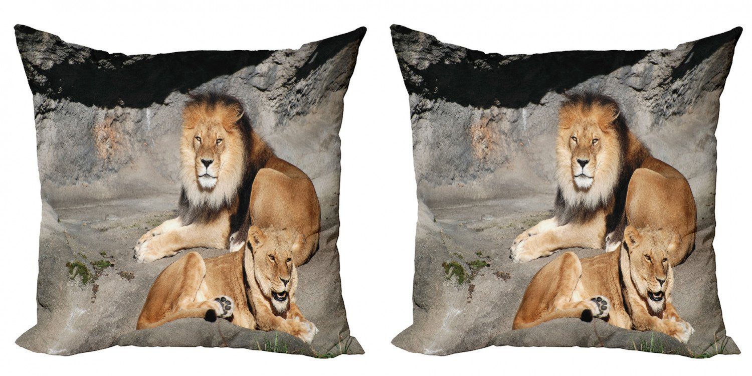 Accent Kissenbezüge Basking Lions Sun Stück), Doppelseitiger (2 Zoo Modern Digitaldruck, in Jungle Abakuhaus