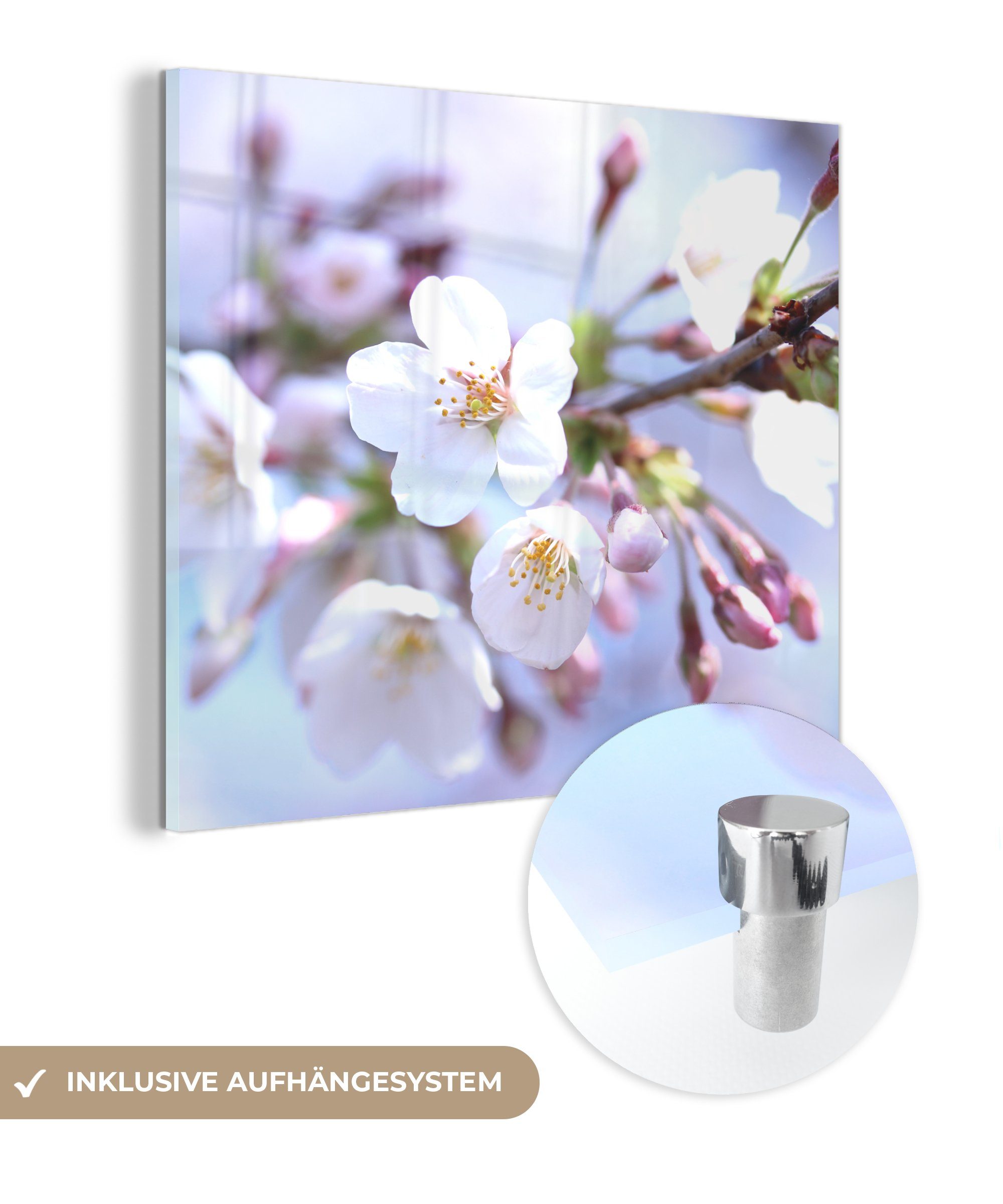 MuchoWow Acrylglasbild Blumen - Sakura - Zweig - Blütendolden, (1 St), Glasbilder - Bilder auf Glas Wandbild - Foto auf Glas - Wanddekoration bunt