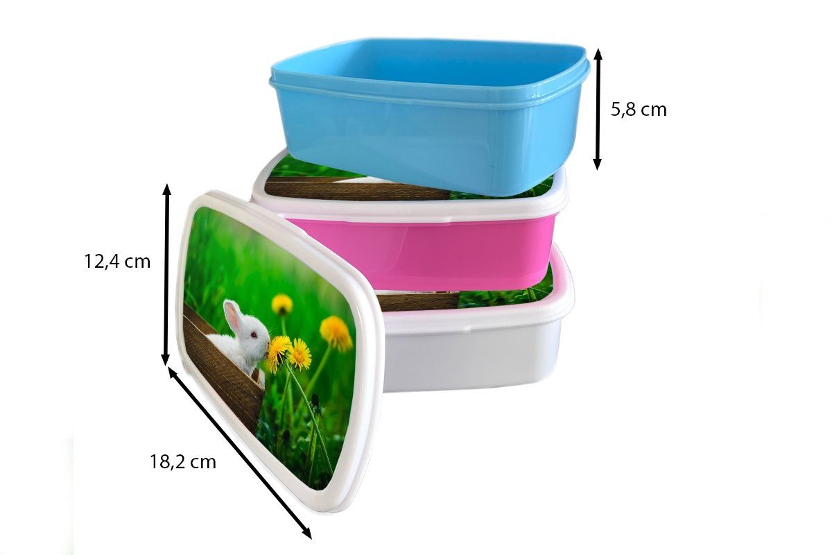 Kunststoff, Mädchen, Snackbox, (2-tlg), Kaninchen für Kunststoff Brotbox Löwenzahn rosa MuchoWow Erwachsene, Gras, - Lunchbox Brotdose Kinder, -