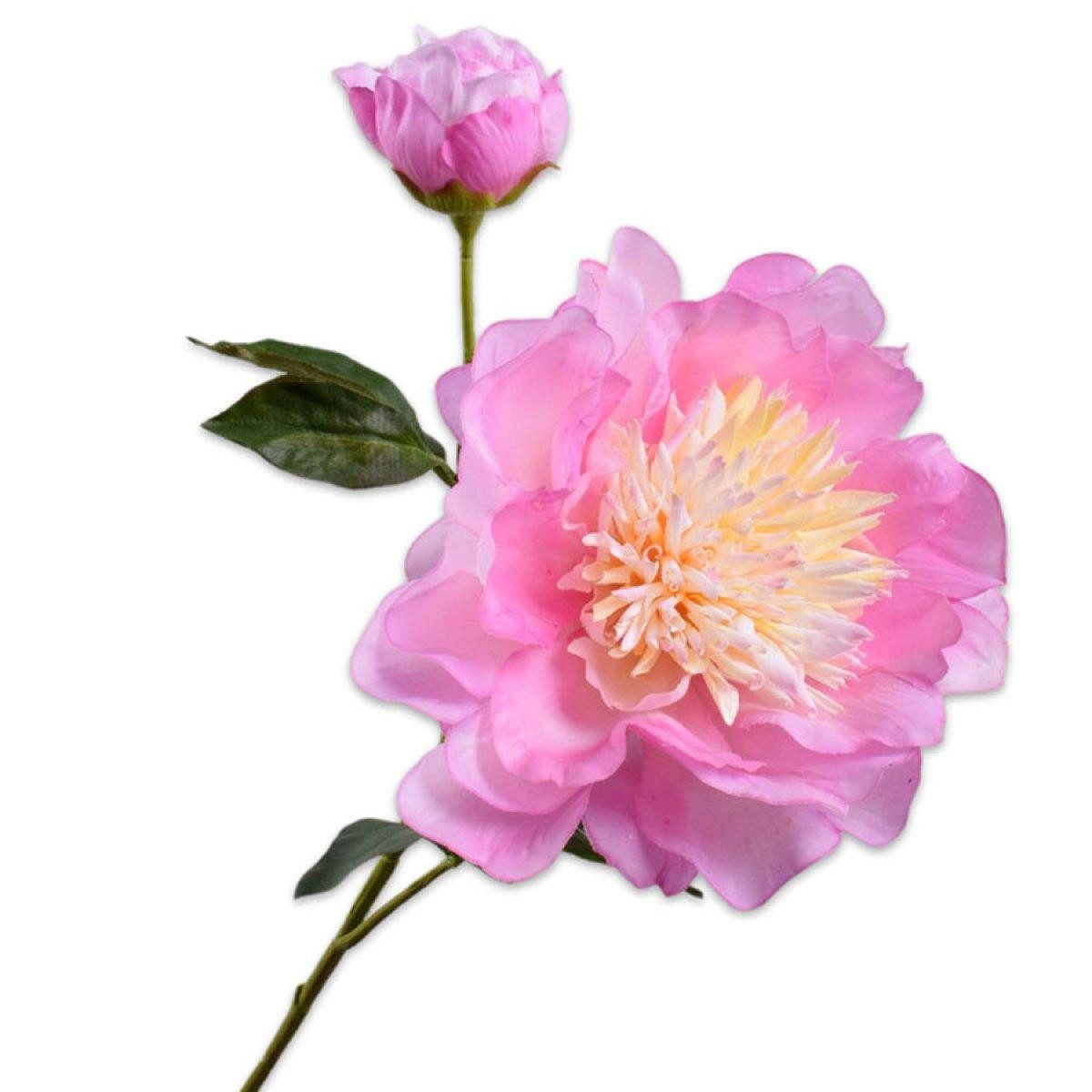 Künstliche Zimmerpflanze Seidenblume Pfingstrose Zweig Rosa (79cm), SILK-KA