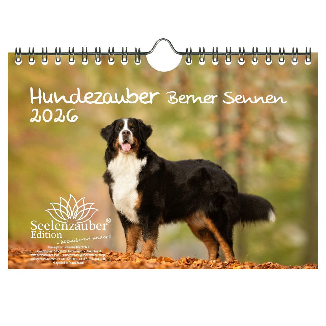 Seelenzauber Wandkalender Hundezauber Berner Sennen DIN A5 Kalender für 2026 Welpen und Hunde