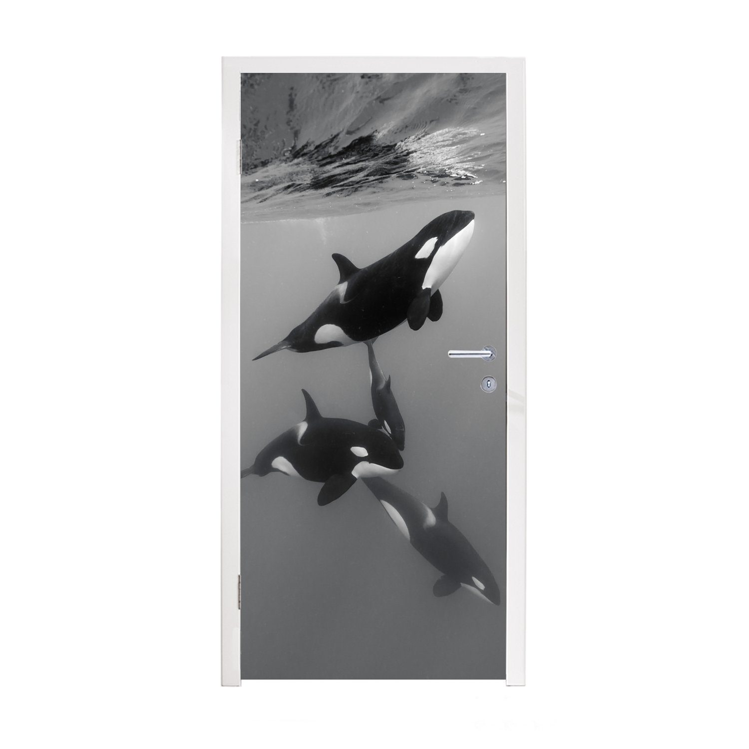 MuchoWow Türtapete Orca Matt, Schwarz Weiß, - Fototapete - Wasser cm - Türaufkleber, 75x205 bedruckt, Tür, für (1 St)