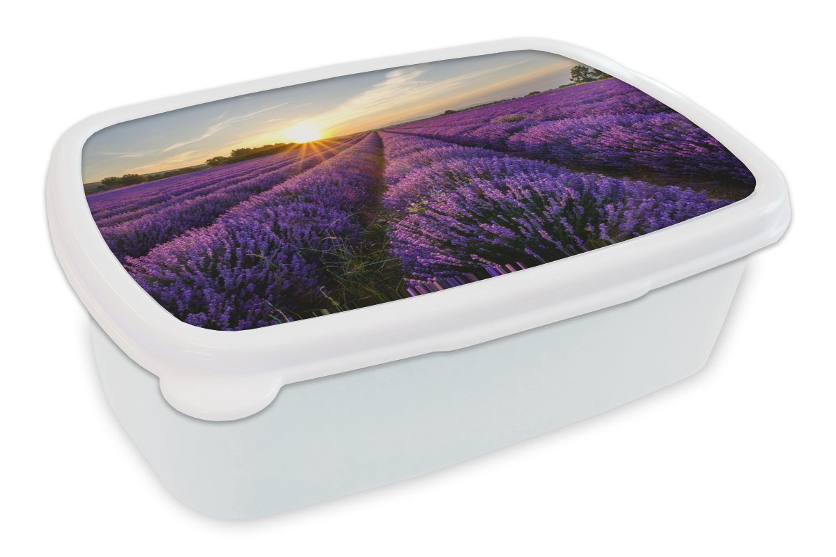 MuchoWow Lunchbox Lavendel - Blumen - Sonnenuntergang - Lila, Kunststoff, (2-tlg), Brotbox für Kinder und Erwachsene, Brotdose, für Jungs und Mädchen weiß