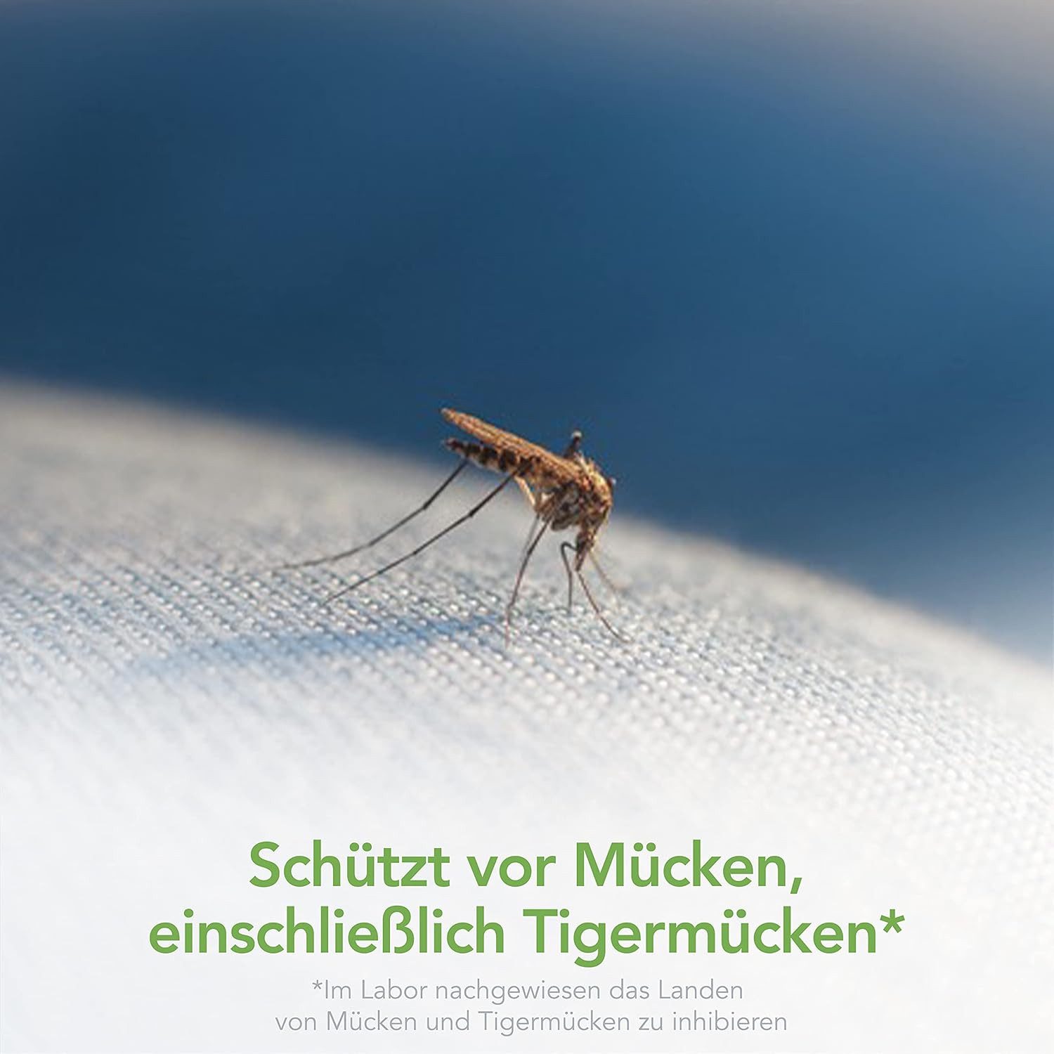 Raid Insektenspray Freeze Spray, Aerosol frei gegen kriechende Insekten, 350ml, 1-St.