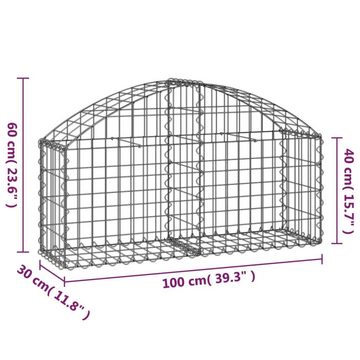 vidaXL Blumentopf Gabione mit Hochbogen 100x30x40/60 cm Verzinktes Eisen (1 St)