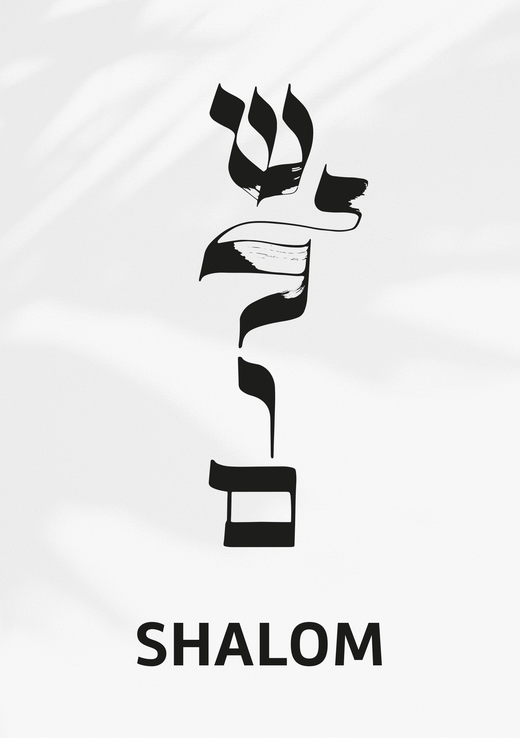 SCM Verlag Notizbuch Notizbuch "Shalom"