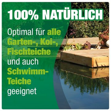 AQUALITY Gartenpflege-Set BIO-Teichklärer Gratis 1 Klarwasser-Filtervlies, Entfernt grünes & trübes