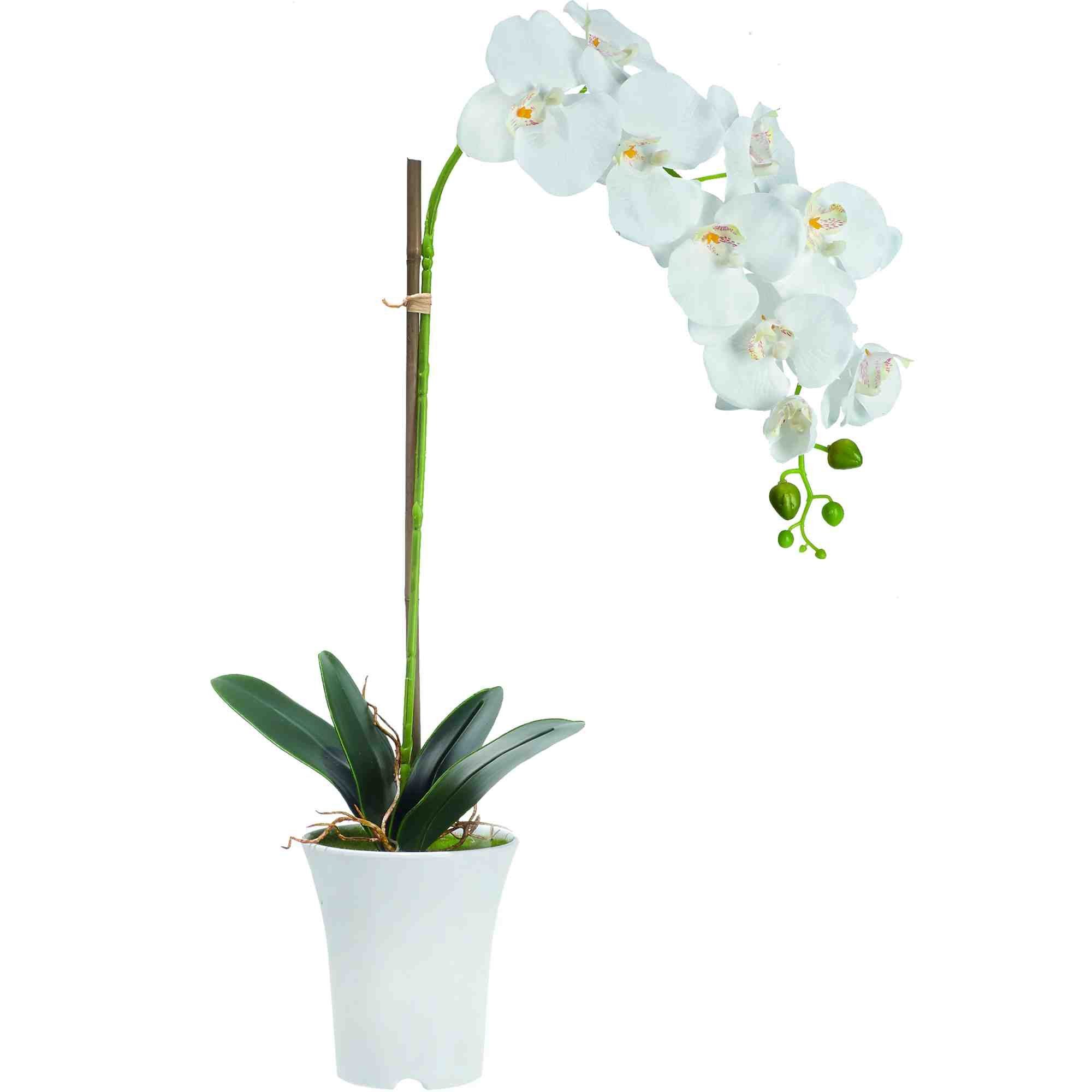 Kunstpflanze Kunstblume Dekopflanze Orchidee 70 cm günstig online kaufen