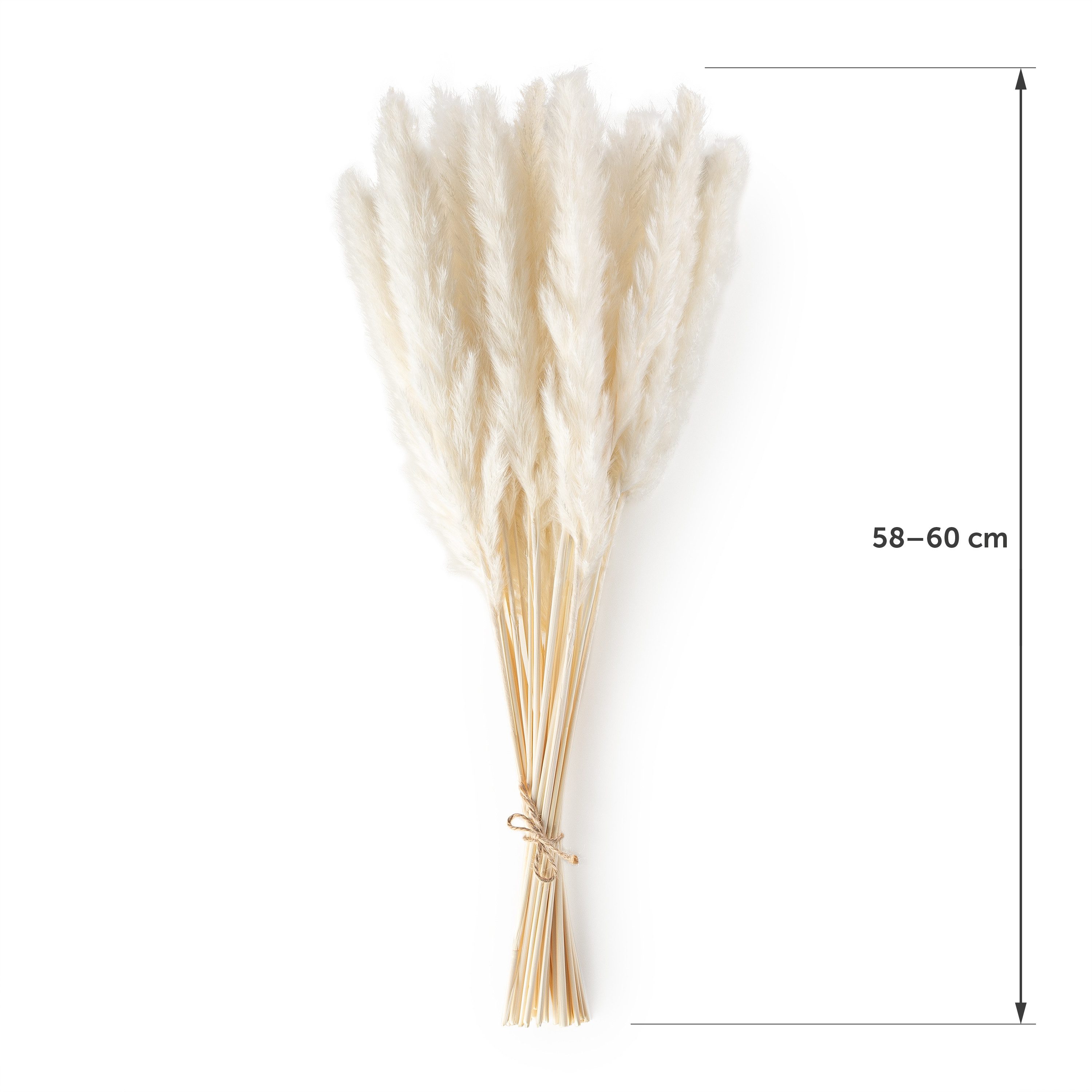 Kunstpflanze getrocknet - Trockenblumen, Ideales Dekoelement Pampasgras, Blumtal, Höhe 58 cm, 30, 50 oder 100 Stück