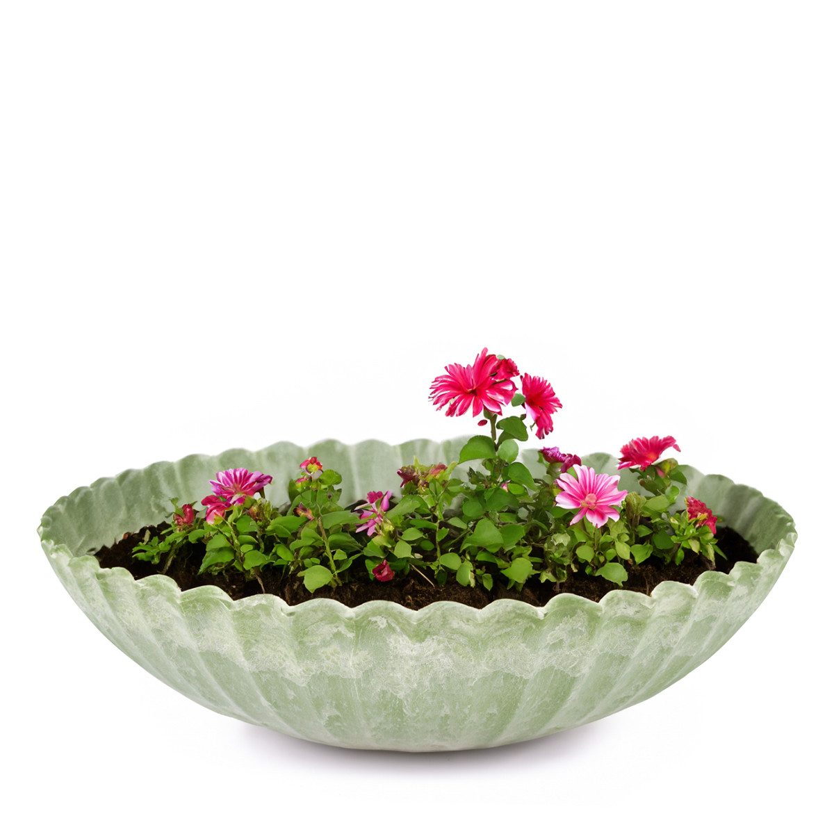 matches21 HOME & HOBBY Blumentopf Pflanzschale für draussen Dekoschale rund günstig online kaufen