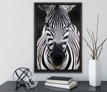 Pixxprint Leinwandbild Zebra Porträt, Wanddekoration (1 St), Leinwandbild fertig bespannt, in einem Schattenfugen-Bilderrahmen gefasst, inkl. Zackenaufhänger